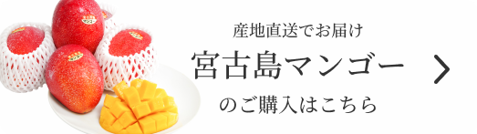 産地直送でお届け宮古島マンゴーのご購入はこちら
