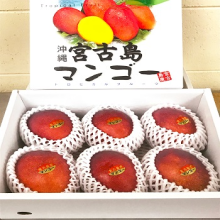 【お中元】沖縄宮古島産 完熟アップルマンゴー美麗品１kg(3個程度)